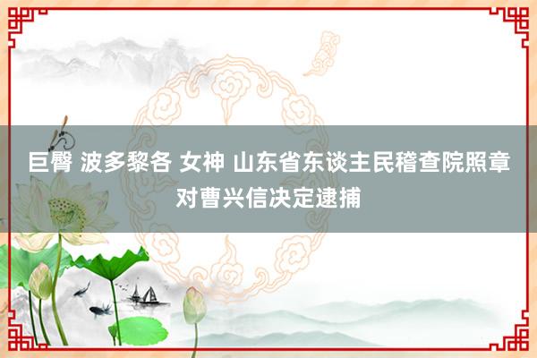 巨臀 波多黎各 女神 山东省东谈主民稽查院照章对曹兴信决定逮捕
