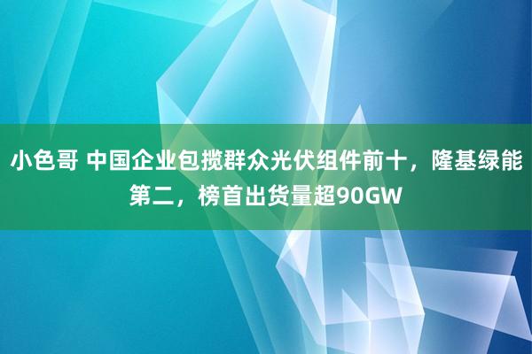 小色哥 中国企业包揽群众光伏组件前十，隆基绿能第二，榜首出货量超90GW