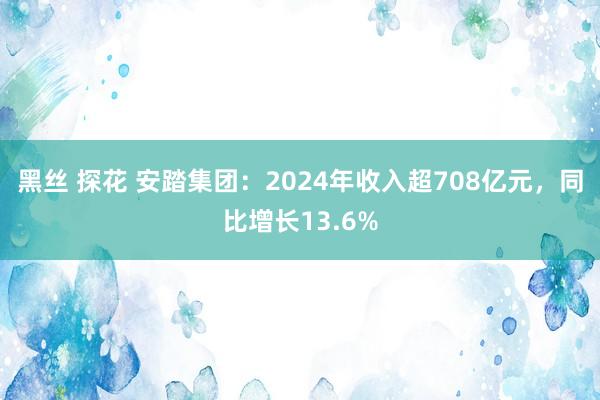 黑丝 探花 安踏集团：2024年收入超708亿元，同比增长13.6%