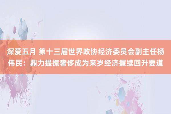 深爱五月 第十三届世界政协经济委员会副主任杨伟民：鼎力提振奢侈成为来岁经济握续回升要道