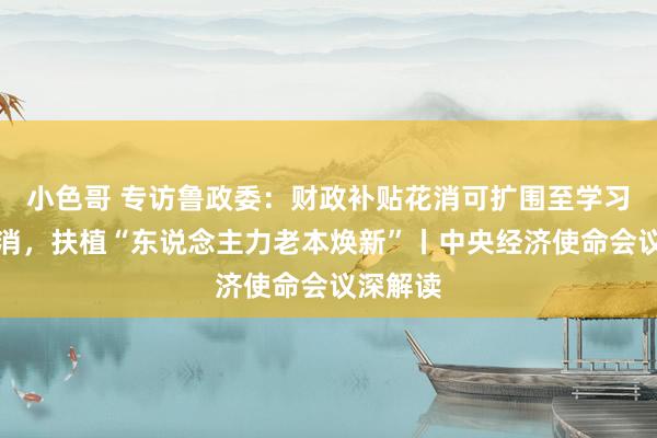 小色哥 专访鲁政委：财政补贴花消可扩围至学习教练花消，扶植“东说念主力老本焕新”丨中央经济使命会议深解读
