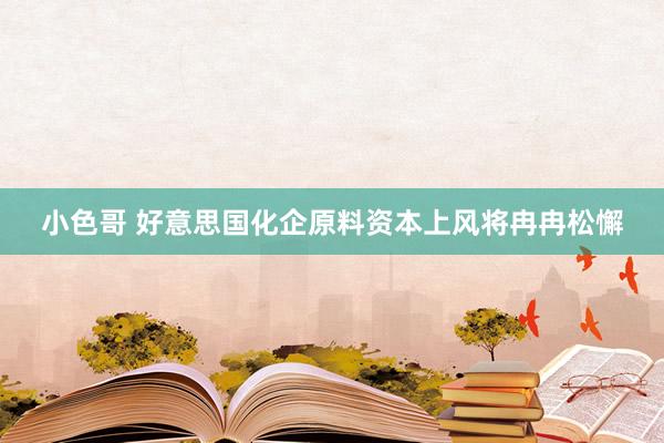 小色哥 好意思国化企原料资本上风将冉冉松懈