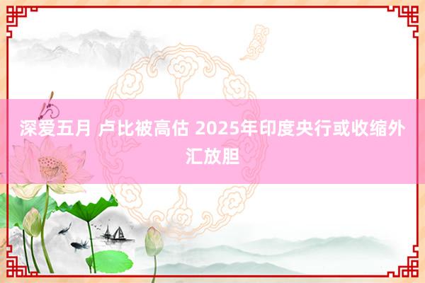 深爱五月 卢比被高估 2025年印度央行或收缩外汇放胆