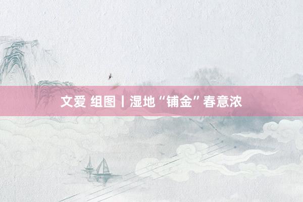 文爱 组图丨湿地“铺金”春意浓