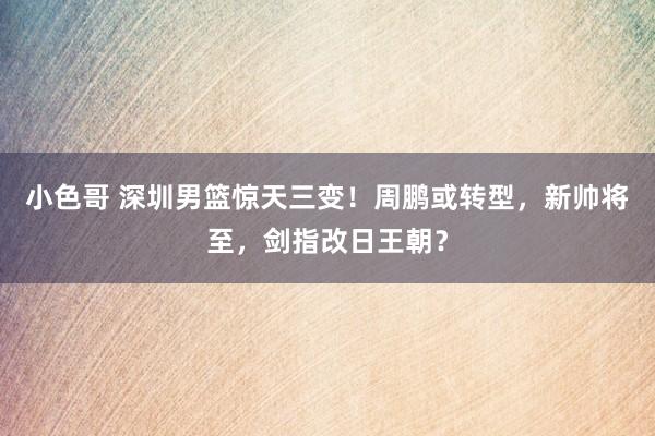 小色哥 深圳男篮惊天三变！周鹏或转型，新帅将至，剑指改日王朝？