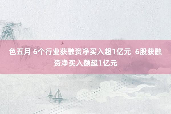 色五月 6个行业获融资净买入超1亿元  6股获融资净买入额超1亿元
