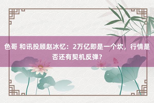 色哥 和讯投顾赵冰忆：2万亿即是一个坎，行情是否还有契机反弹？
