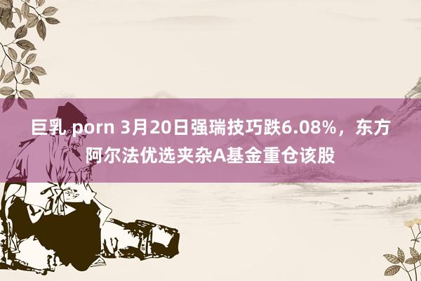 巨乳 porn 3月20日强瑞技巧跌6.08%，东方阿尔法优选夹杂A基金重仓该股