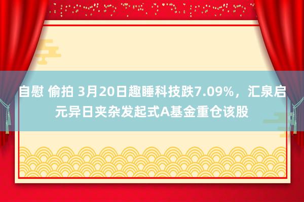 自慰 偷拍 3月20日趣睡科技跌7.09%，汇泉启元异日夹杂发起式A基金重仓该股