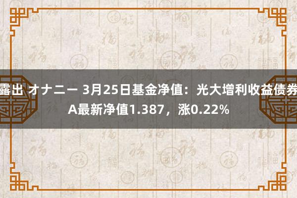 露出 オナニー 3月25日基金净值：光大增利收益债券A最新净值1.387，涨0.22%
